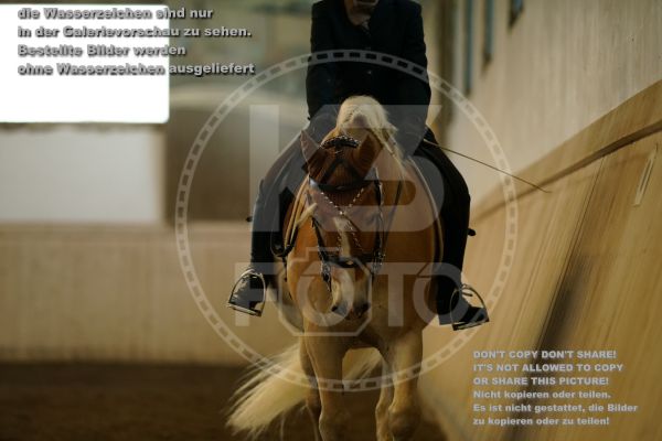 s_K3F04159.jpg